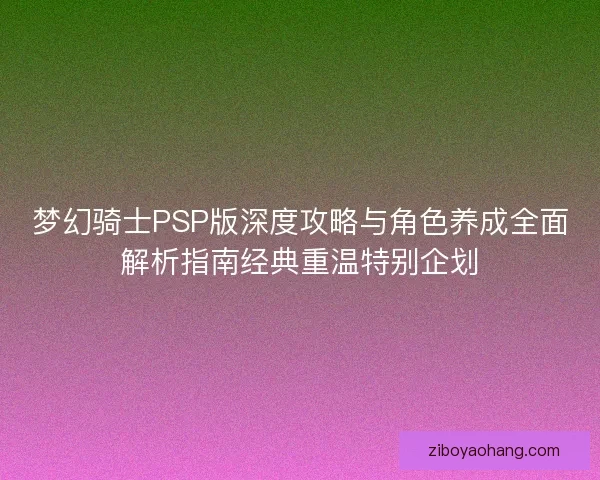 梦幻骑士PSP版深度攻略与角色养成全面解析指南经典重温特别企划