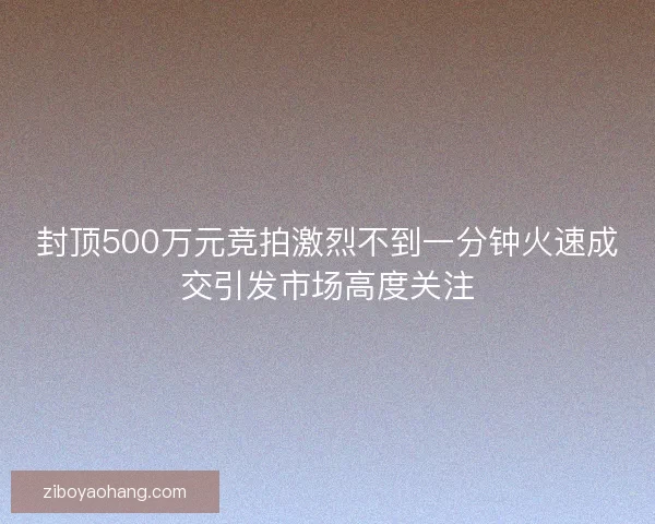 封顶500万元竞拍激烈不到一分钟火速成交引发市场高度关注 封顶500万元竞拍激烈不到一分钟火速成交引发市场高度关注
