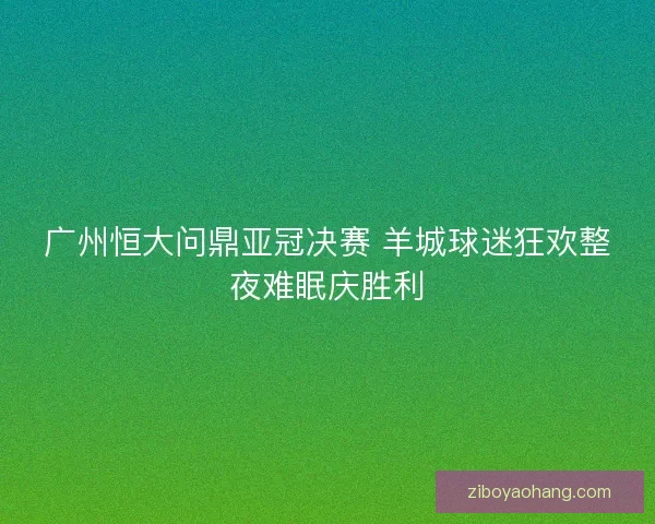 广州恒大问鼎亚冠决赛 羊城球迷狂欢整夜难眠庆胜利