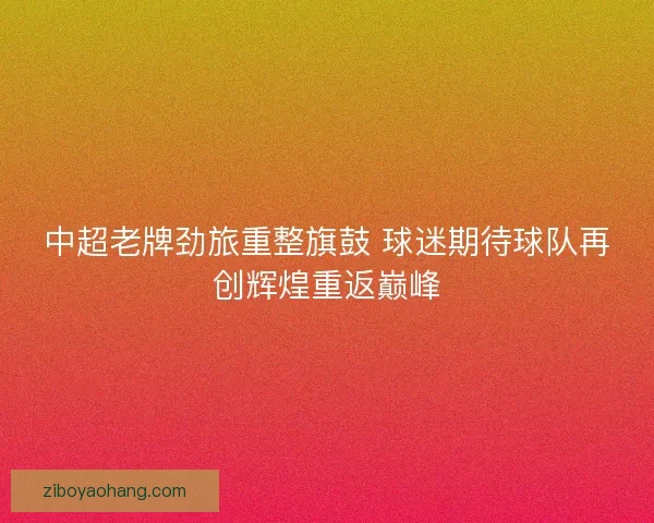 中超老牌劲旅重整旗鼓 球迷期待球队再创辉煌重返巅峰